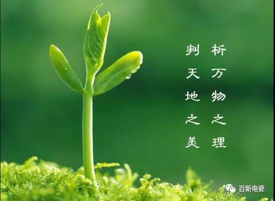 植樹 |【種下希望，收獲夢(mèng)想】